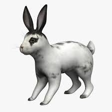 Rabbit 3d Model Ad Rabbit Model Rabbit Colors 3d Model Animation