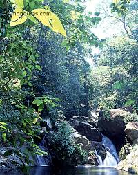 Resultado de imagen para parque nacional la muralla la union olancho