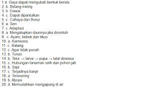 These animals usually live in trees. Pin Di Bunga