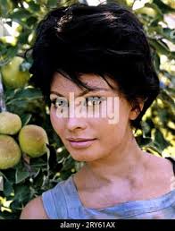 Judith 1966 sophia loren daniel hi-res stock photography and images