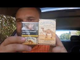They are associated with a plethora of medical conditions and are highly addictive. Obzor Camel Bez Filtra Germaniya Youtube