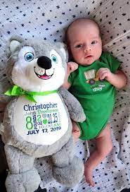 Birth Information Animal Husky Baby Gift World Class Etsy Monogramed Baby Gifts Baby Monogram Personalized Stuffed Animals