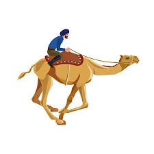 Jockey — in sport, a jockey is one who rides horses in horse racing or steeplechase racing, primarily as a profession. Camel Jockey Album On Imgur