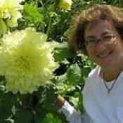 2019 Artists Painting the Gardens