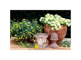 Image result for foto Vitálka