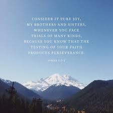 Pin By Jennifer Burchell On God S Truth Consider It Pure Joy Book Of James Bible Apps