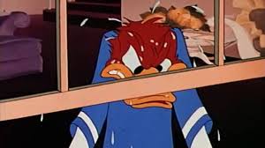 Or japan who watches television, cannot t. Angry Donald Duck Know Your Meme