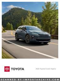 Image result for Storm Cloud 2025 Crown