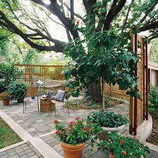 See more ideas about trellis, backyard, backyard trellis. 19 Beautiful Trellis Fence And Screen Ideas To Turn Your Yard Into A Private Escape Better Homes Gardens