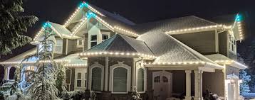 Professional Christmas Lights Installation - Blue Skies Window and Gutter  Cleaning Service