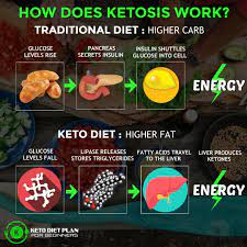How Does Ketosis Work Traditional Diet Vs Keto Diet Ask Me Or Comment Below To Learn More Ketodietplanforbeginners Com Sguide K Keto Diet Keto Diet