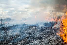 2,300+ House Burned To The Ground Stock ...