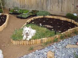 Helen On The Grass1 Food Garden Design Edible Garden Vegetable Garden