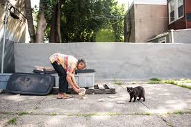 As soon as you catch the target cat then release the other trapped cats. Philly Has 400 000 Stray Cats Here S How To Deal With It