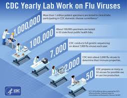 Influenza Virus Genome Sequencing And Genetic Characterization Cdc