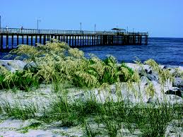 Paws-A-While, Dauphin Island (Al) | 2024 Updated Prices, Deals
