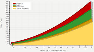 Adult Height Weight Chart