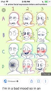Pearl Drawing Wip And Expression Chart Requests Steven