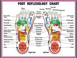 Foot Reflexology Chinese Medicine Meridian Acupressure And