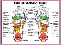 foot reflexology chinese medicine meridian acupressure and