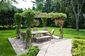 Maybe you would like to learn more about one of these? Pergola Plants Guide Shade And Enhance Your Outdoor Space