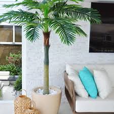 Tipos De Palmeiras 70 Plantas E Ideias Para Decorar Sua Casa Em 2021