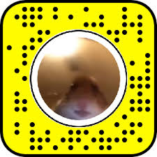 Upload only your own content. Hamster Staring Meme Snapchat Lens Filter Hamster Meme Lens Filters Snapchat Snapchat Camera