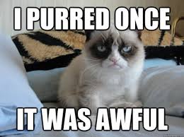 Image result for funny grumpy cat memes