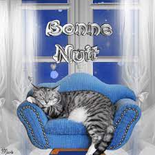 gifs - images " Bonne nuit" chats - Balades comtoises
