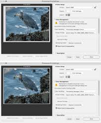This download is intended for the installation of epson stylus pro 3885 driver under most operating systems. Solved Print Is Off Center Even In Preview And Can T Ce Adobe Support Community 10602322