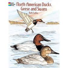 See more ideas about coloring pages, wood burning patterns, pyrography patterns. North American Ducks Geese And Swans Coloring Book Dover Nature Coloring Book By Soffer Paperback Target