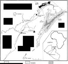 Image result for Ancistrorhynchus clandestinus