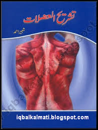 David lendvai department of anatomy, histology and embriology. Human Body Parts Muscles Info Book In Urdu Pdf Free Download