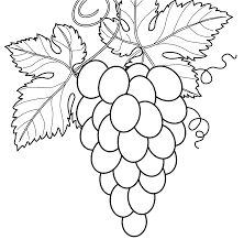 Gambar sketsa buah anggur harus anda awali dengan membuat tangkai panjangnya terlebih dahulu, barulah anda bisa membuat bulatan hingga memenuhi 80 % tangkainya, hingga membentuk buah anggur. 33 Kumpulan Gambar Sketsa Pohon Anggur Terlengkap Wajahsket