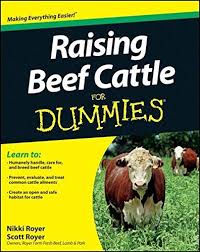 Cattle Raising Beginners Guide To Keeping Cows For Beef Beef Cattle Raising Cattle Cattle Ranching