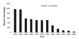 Decline In Commercial Shellfish Landings Likely Linked To