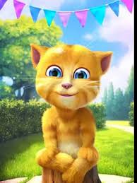 Vidéo Ginger le chat qui parle