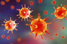 Hsl (hue, saturation, lightness) and hsv (hue, saturation, value, also known as hsb or hue, saturation, brightness) are alternative representations of the rgb color model. Increased Risk For Herpes Simplex Virus Infection Noted In Systemic Lupus Erythematosus Rheumatology Advisor