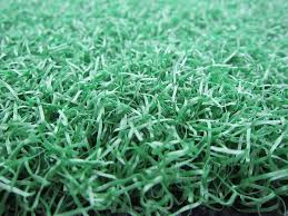 Carpetgrass looks very similar to centipedegrass except. 14 Different Types Of Artificial Grass For Your Yard 2021 Home Stratosphere