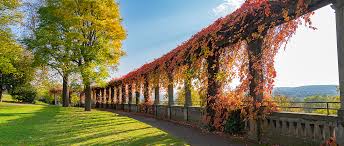 Wolfram kieselbach, reinhard richter, anita mahrt Jensen Doering Ihr Immobilienmakler In Kassel