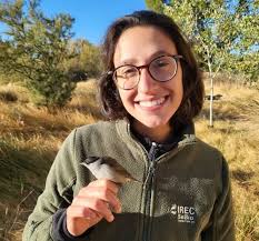 Profile and professional information of Rita Vaz Rodrígues