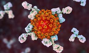 Latest public health information from cdc. Phase Ii Trial To Study Anti Covid 19 Mab Ct P59 Completes Enrolment