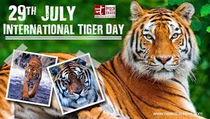 The sundarbans evokes a mysterious image in your mind. International Tiger Day Raise Voice To Hear The Roar Newstrack English 1