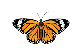 Download Butterfly Svg Cut File By Creative Fabrica Crafts Creative Fabrica PSD Mockup Templates