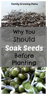 Is Soaking Seeds Necessary Soaking Your Seeds Before Planting Means Your Seeds Germinate F In 2020 Soaking Seeds Before Planting Growing Vegetables Organic Vegetables