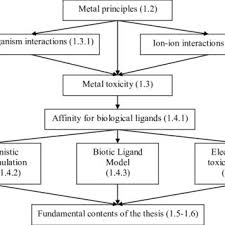 Pdf Modelling Bioaccumulation And Toxicity Of Metal Mixtures