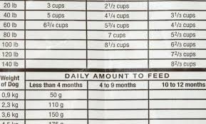 Hill Science Diet Puppy Food Dog Feeding Guidelines Hills