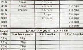 hill science diet puppy food dog feeding guidelines hills