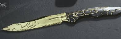 Voce pode criar um ponto de restauracao do windows assim se nao. Meaning Of This Ballistarc Thing On The Golden Knife Modernwarfare