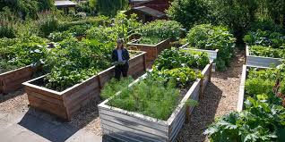 Grundstücke zur miete und pachtland in hamburg auf immobilo.de ✓ 17 grundstücke zur miete oder pacht ✓ pachtgrundstücke mit immobilo.de finden! Wenige Platze Grosse Nachfrage So Funktioniert Garten Sharing In Hamburg Mopo